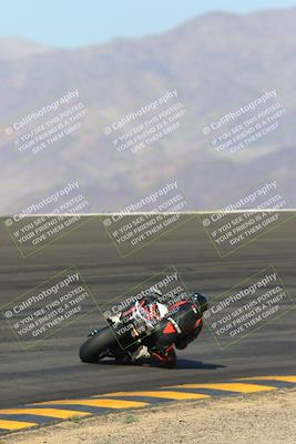 media/Mar-24-2023-Apex Assassins (Fri) [[54485cb5ff]]/Racer 1/Session 2 (Bowl Backside)/